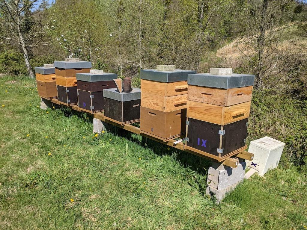 L'Angeberdière Saint-Mars-sur-la-Futaie Extérieur photo