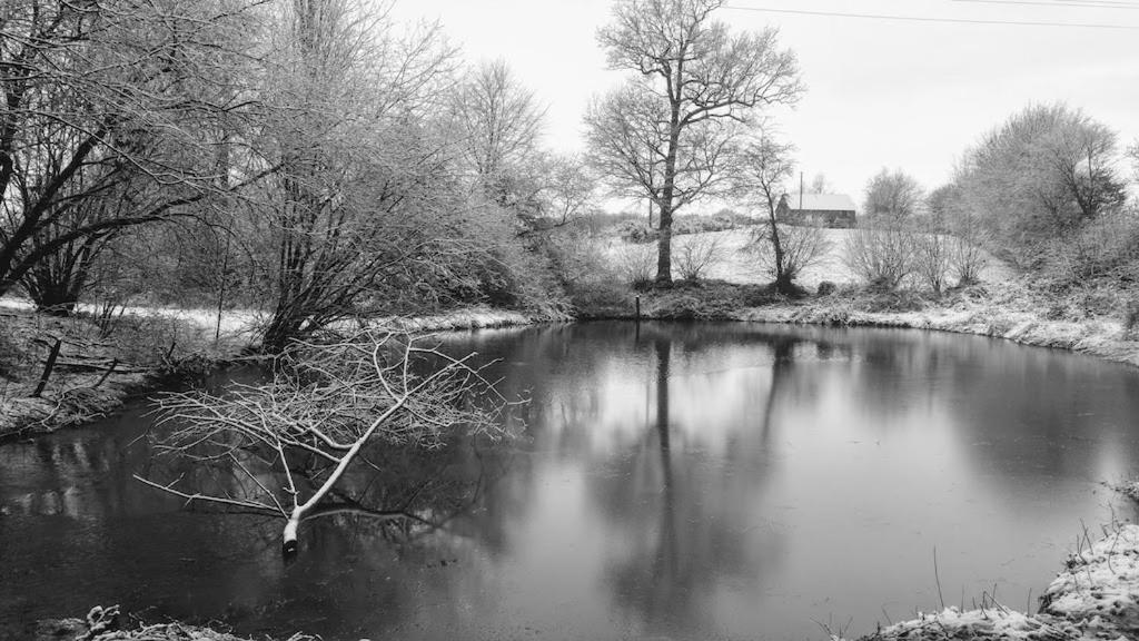 L'Angeberdière Saint-Mars-sur-la-Futaie Extérieur photo
