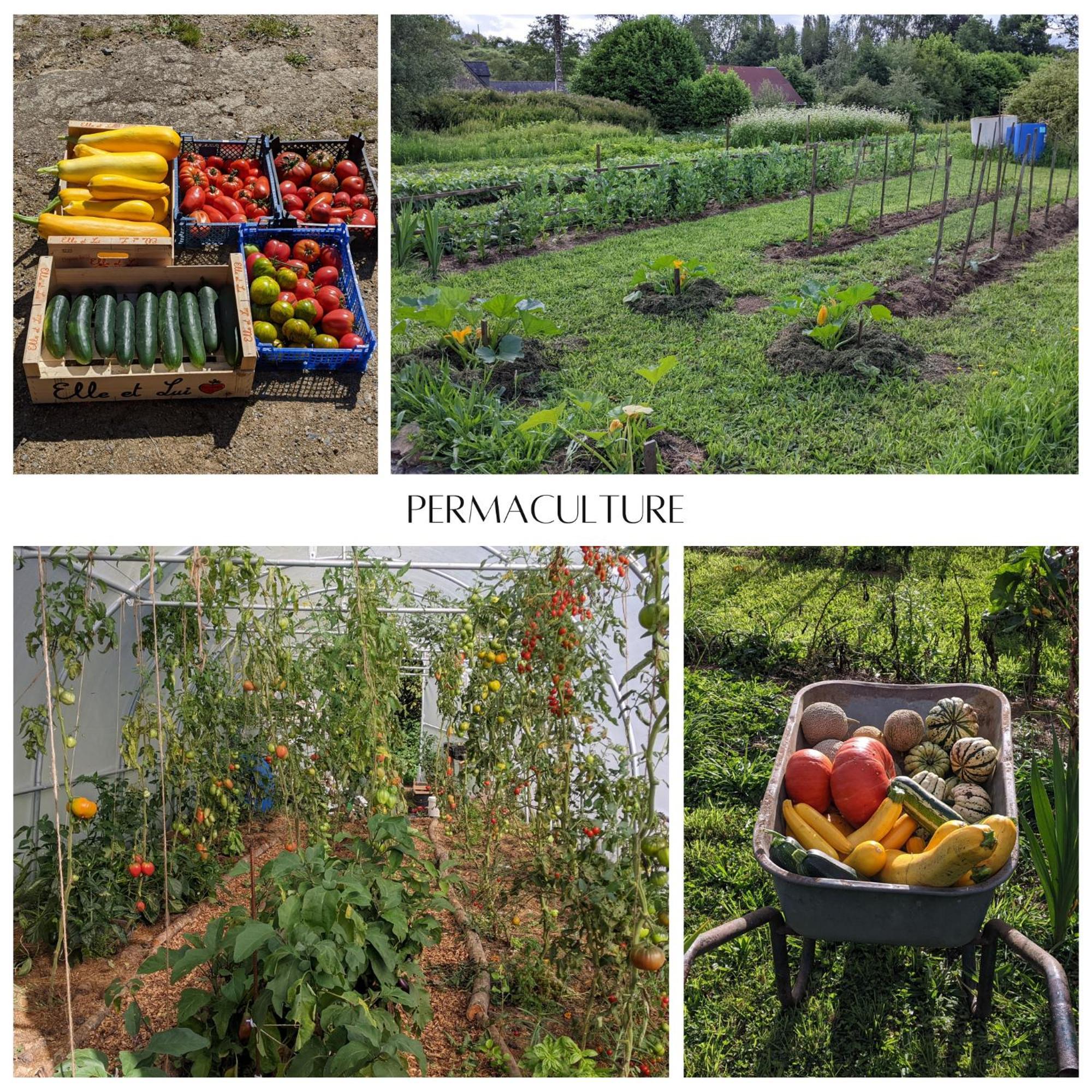 L'Angeberdière Saint-Mars-sur-la-Futaie Extérieur photo